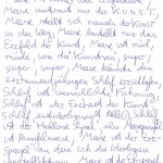 Manifest von Jonathan Meese