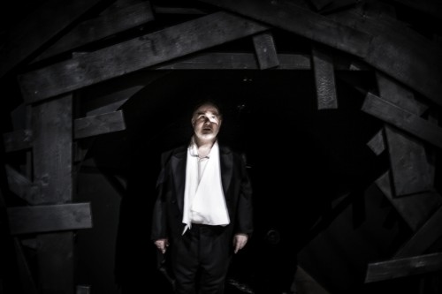 Through Roses - Foto: Vincent Stefan