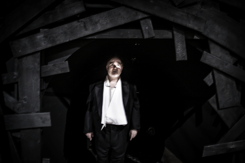 Through Roses - Foto: Vincent Stefan