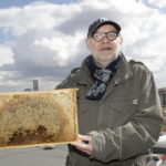 Die Bienenkönigin Brummhilde mit ihrem Volk und ihrem Intendanten